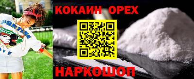 СК Дубна