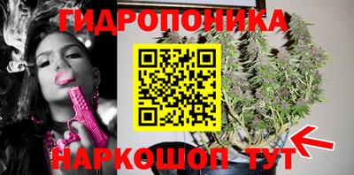 a pvp Донской
